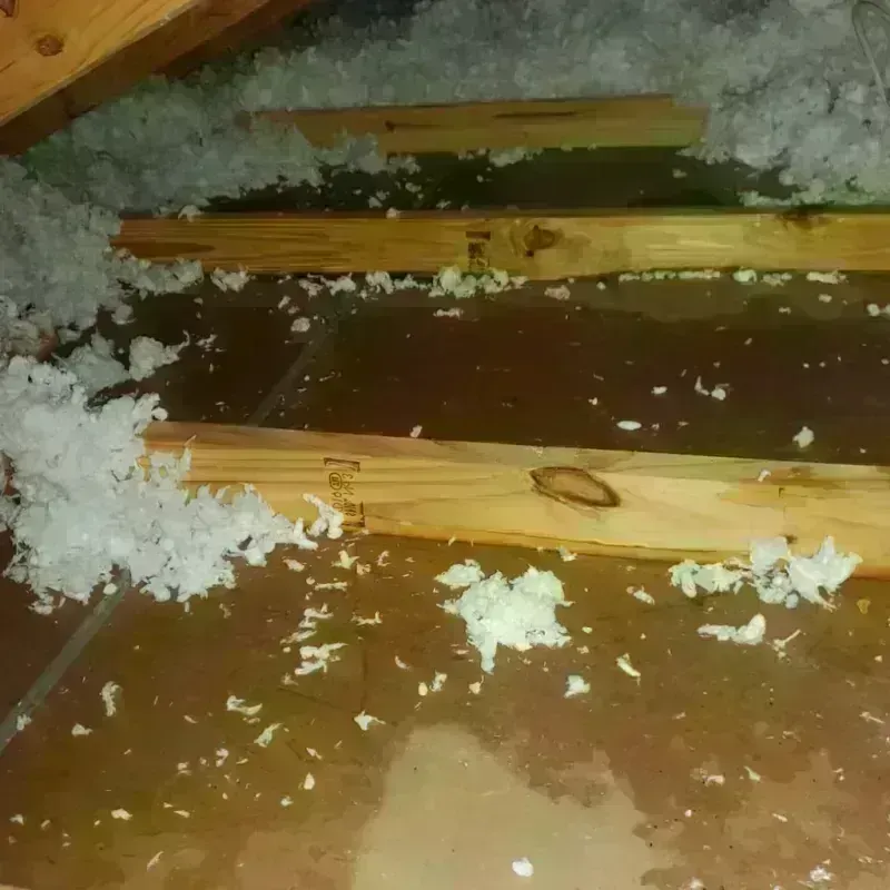 Attic Water Damage in Pend Oreille County, WA