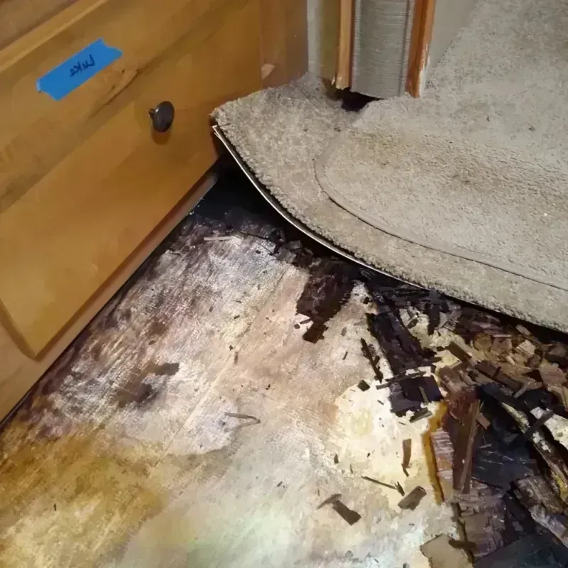 Best Wood Floor Water Damage Service in Pend Oreille County, WA